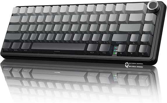 מקלדת גיימינג אלחוטית Attack Shark X66